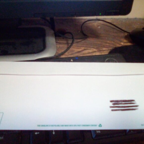 Cardinal Forever & U.S Flag Stamped Forever Envelope Peel and Stick Flap - Picture 4 of 4